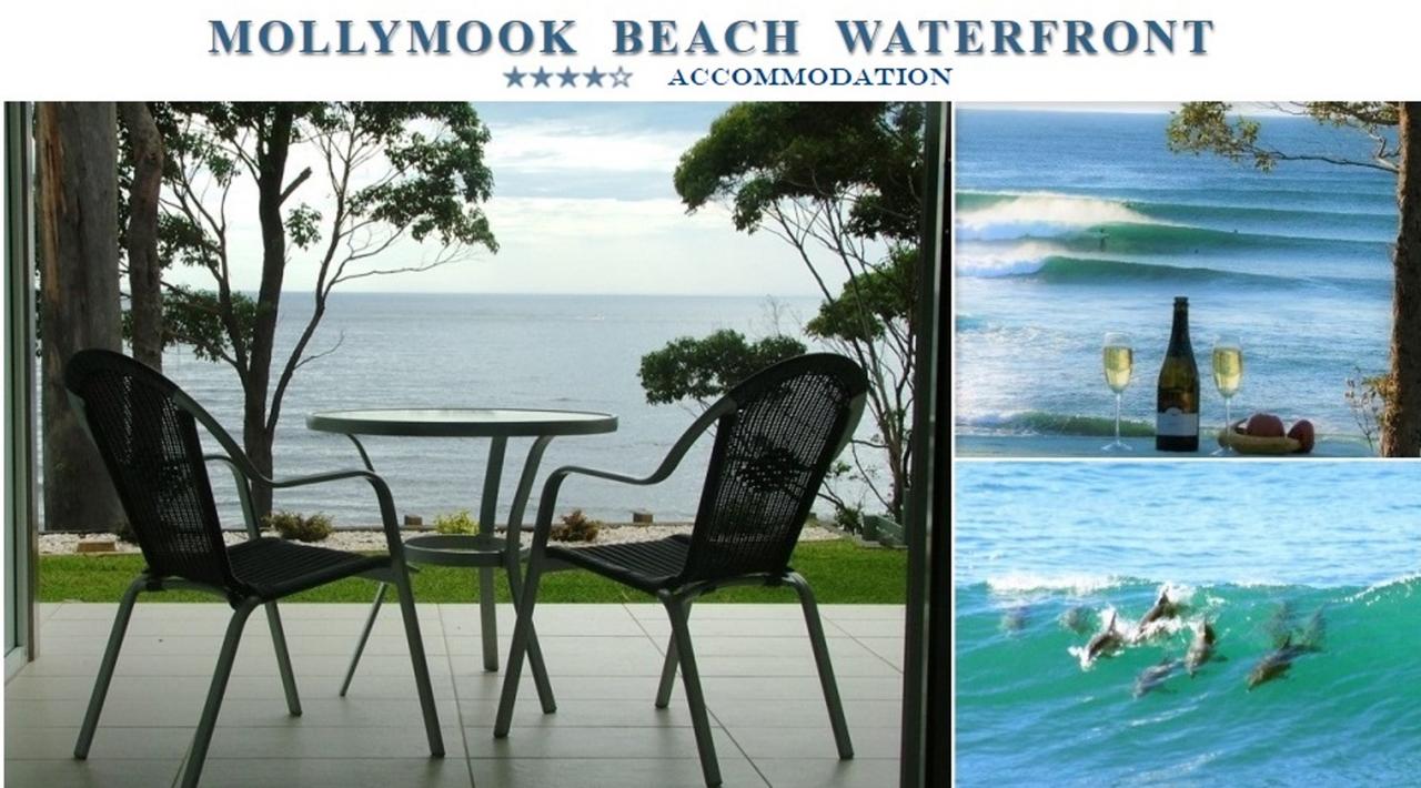 Mollymook Beach Waterfront - thumb 1