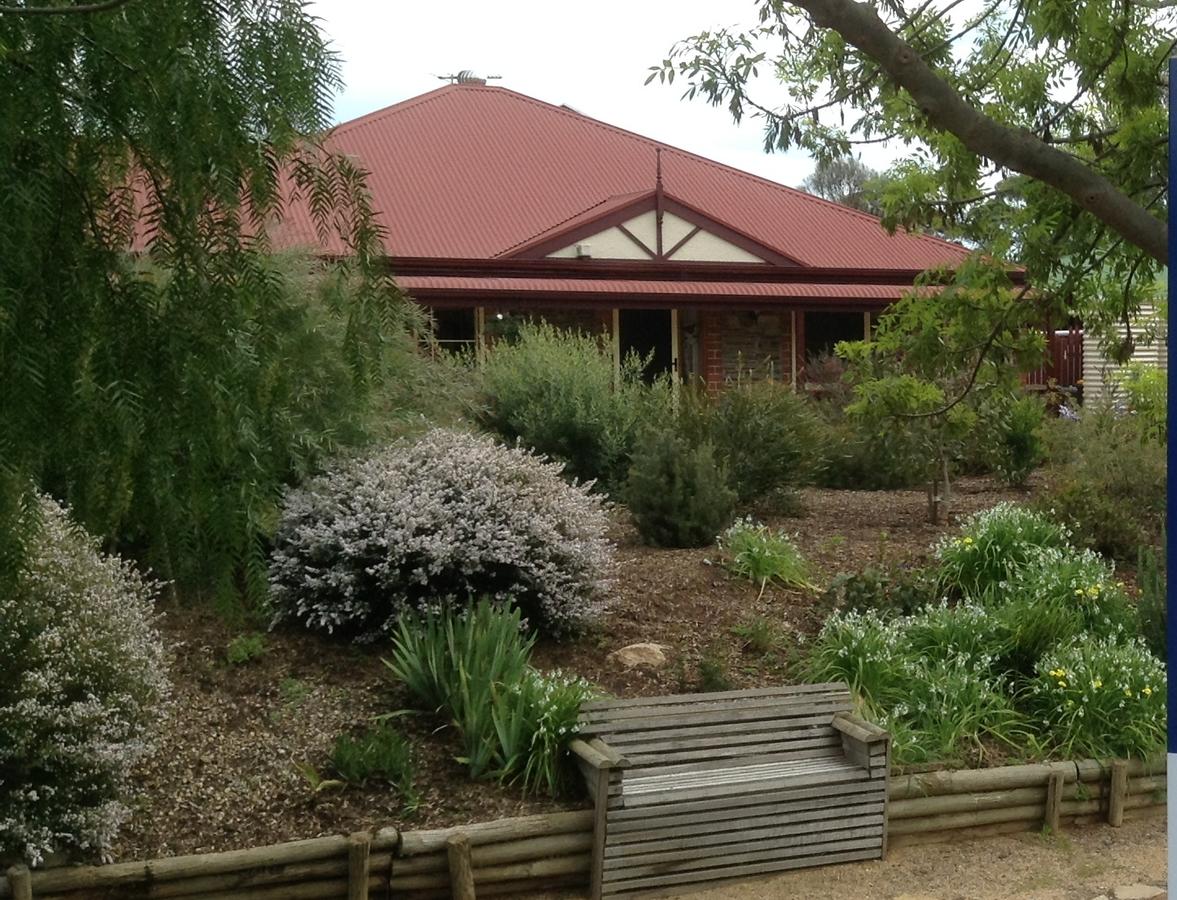 Frog Song At Willunga - Accommodation Find 1