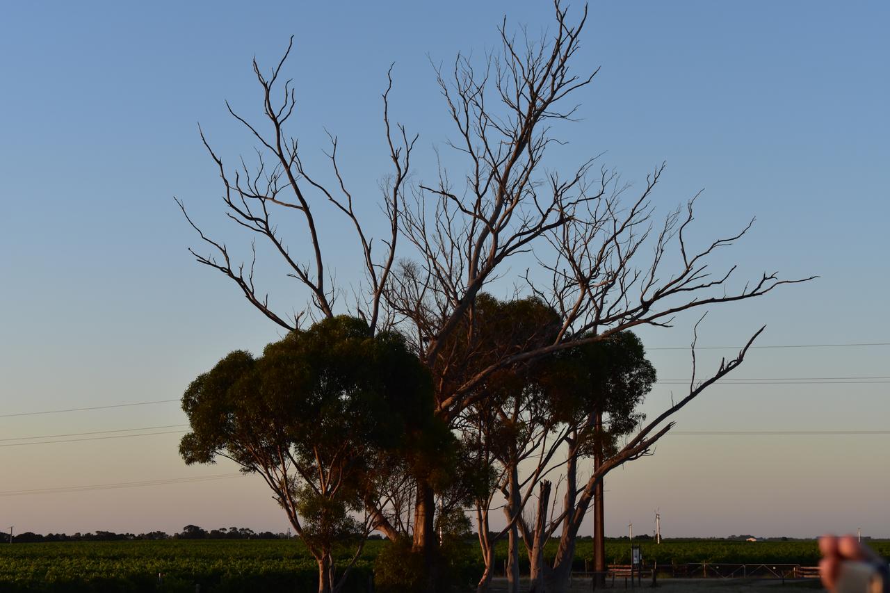 A Coonawarra Experience - Redcliffe Tourism 24