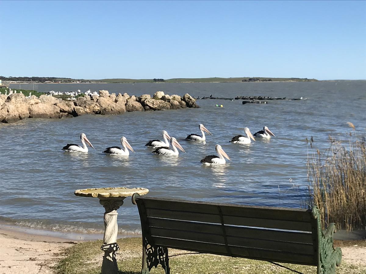 Hydeaway Bay - Own Private Bay + Kayaks - Accommodation Find 18