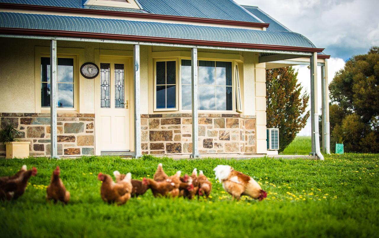 Barossa Vineyard Cottages - thumb 40