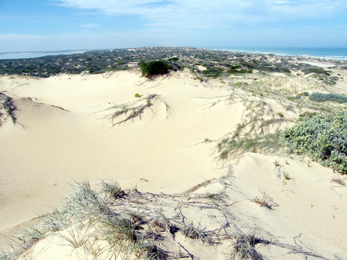 Coorong Waterfront Retreat - Accommodation Find 32