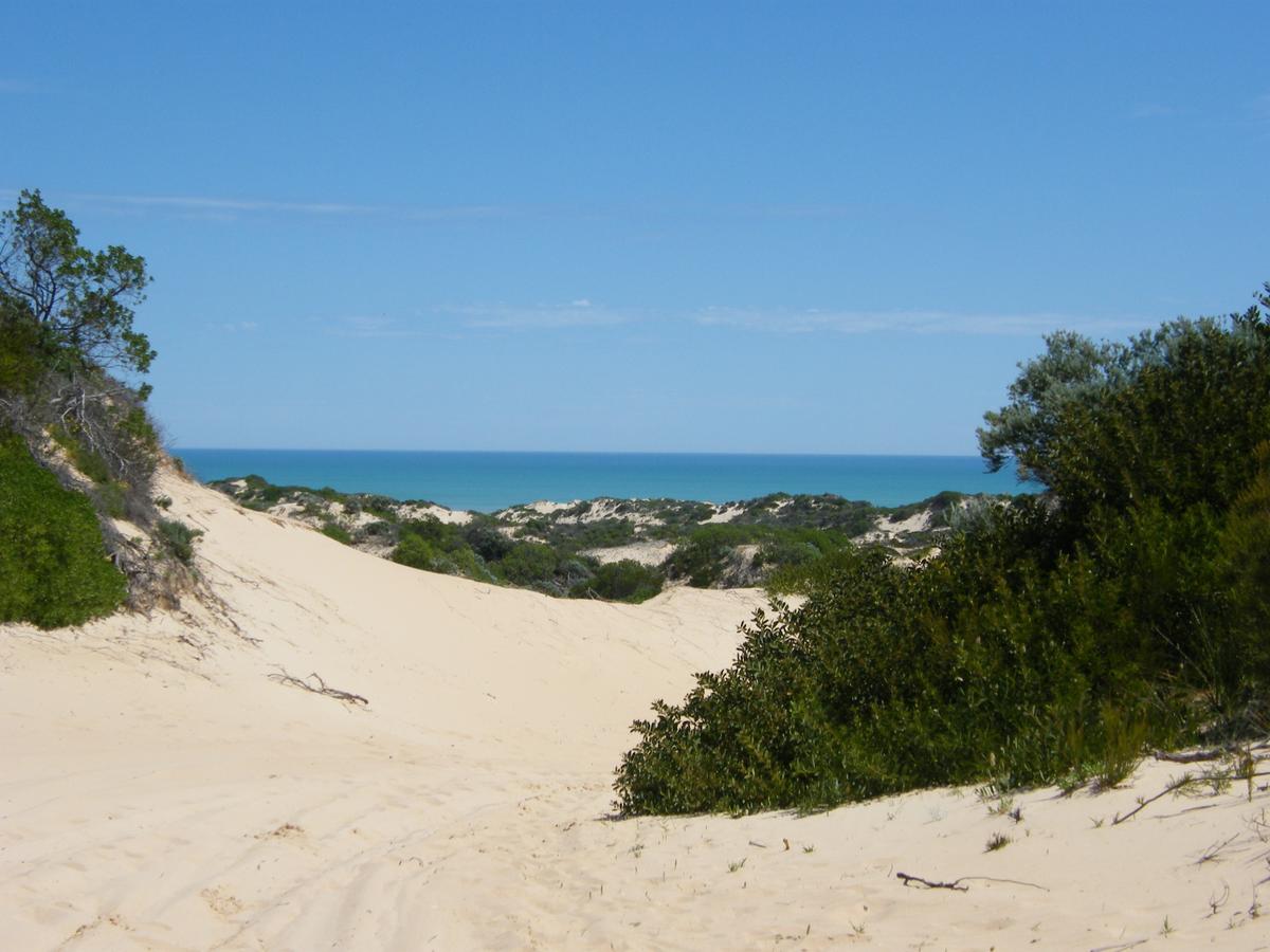 Coorong Waterfront Retreat - Accommodation Find 23