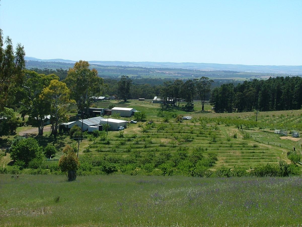 Taralee Orchards - Accommodation Find