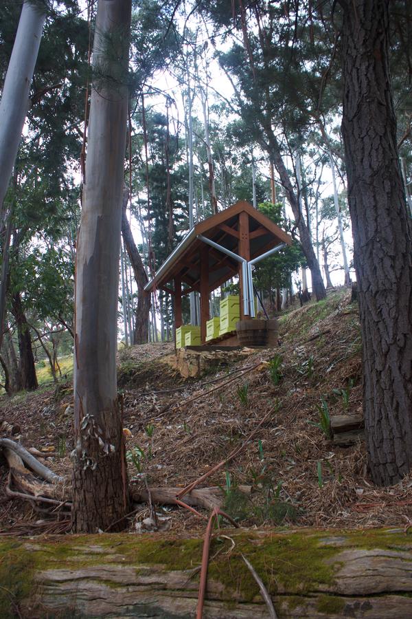 Longwood Retreat - Mount Gambier Accommodation