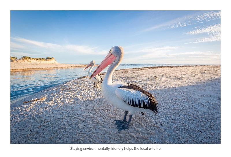 Adelaide Luxury Beach House - thumb 25