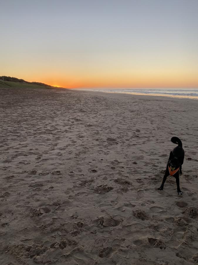 Goolwa Marinerâ€™s Cottage - Free Wifi And Pet Friendly - Centrally Located In Historic Region - thumb 27