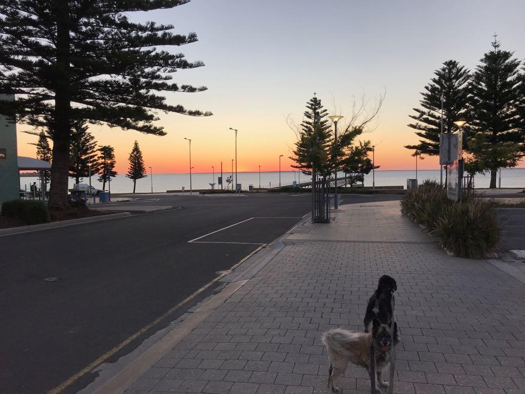 BIG4 Ceduna Tourist Park - thumb 34