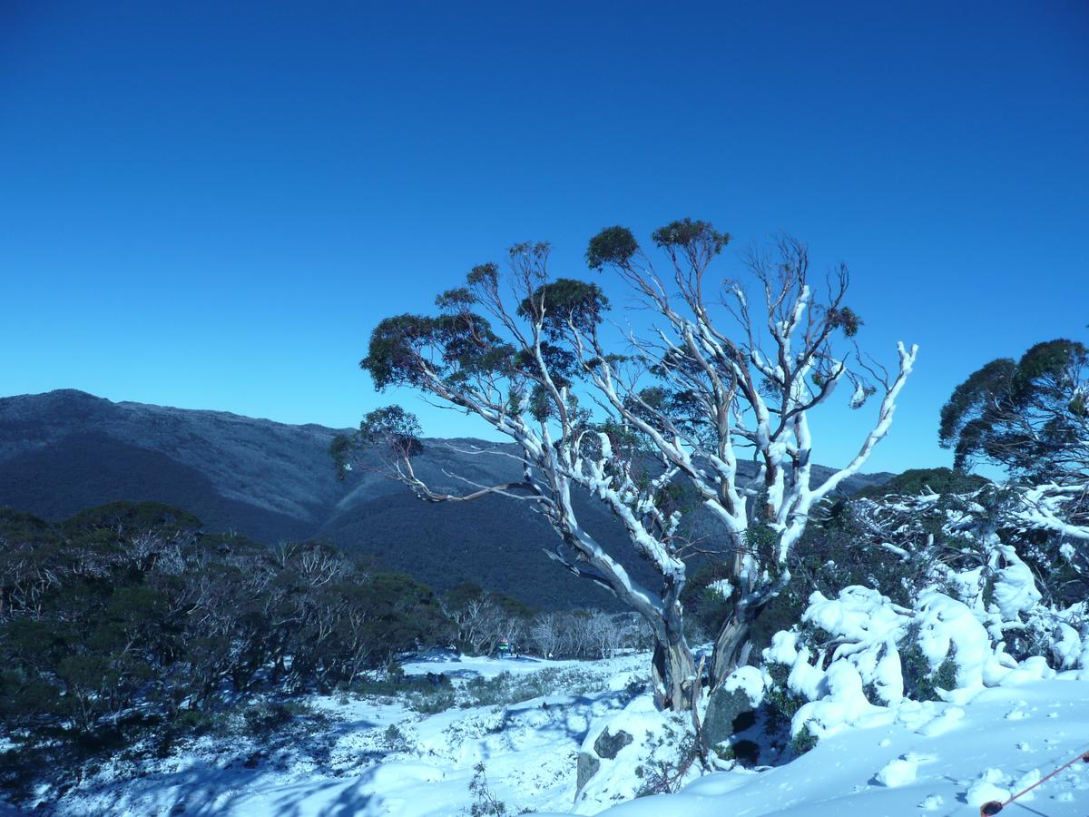 CHILL-OUT @ THREDBO - Accommodation Find 33