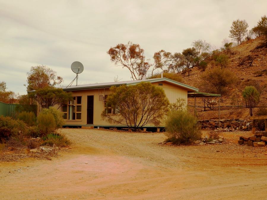 Arkaroola Wilderness Sanctuary - thumb 14