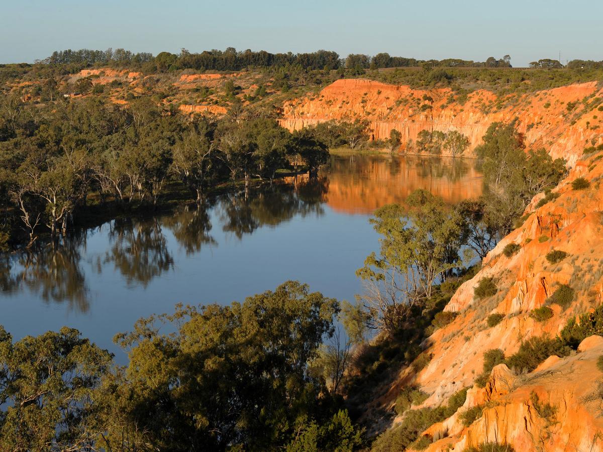 Riverbend Caravan Park Renmark - thumb 11