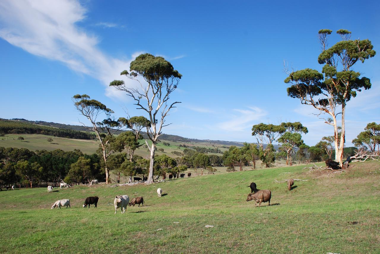 Lisieux Farm Bed and Breakfast - Mount Gambier Accommodation