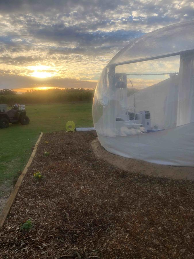 Coonawarra Bubble Tents - thumb 6