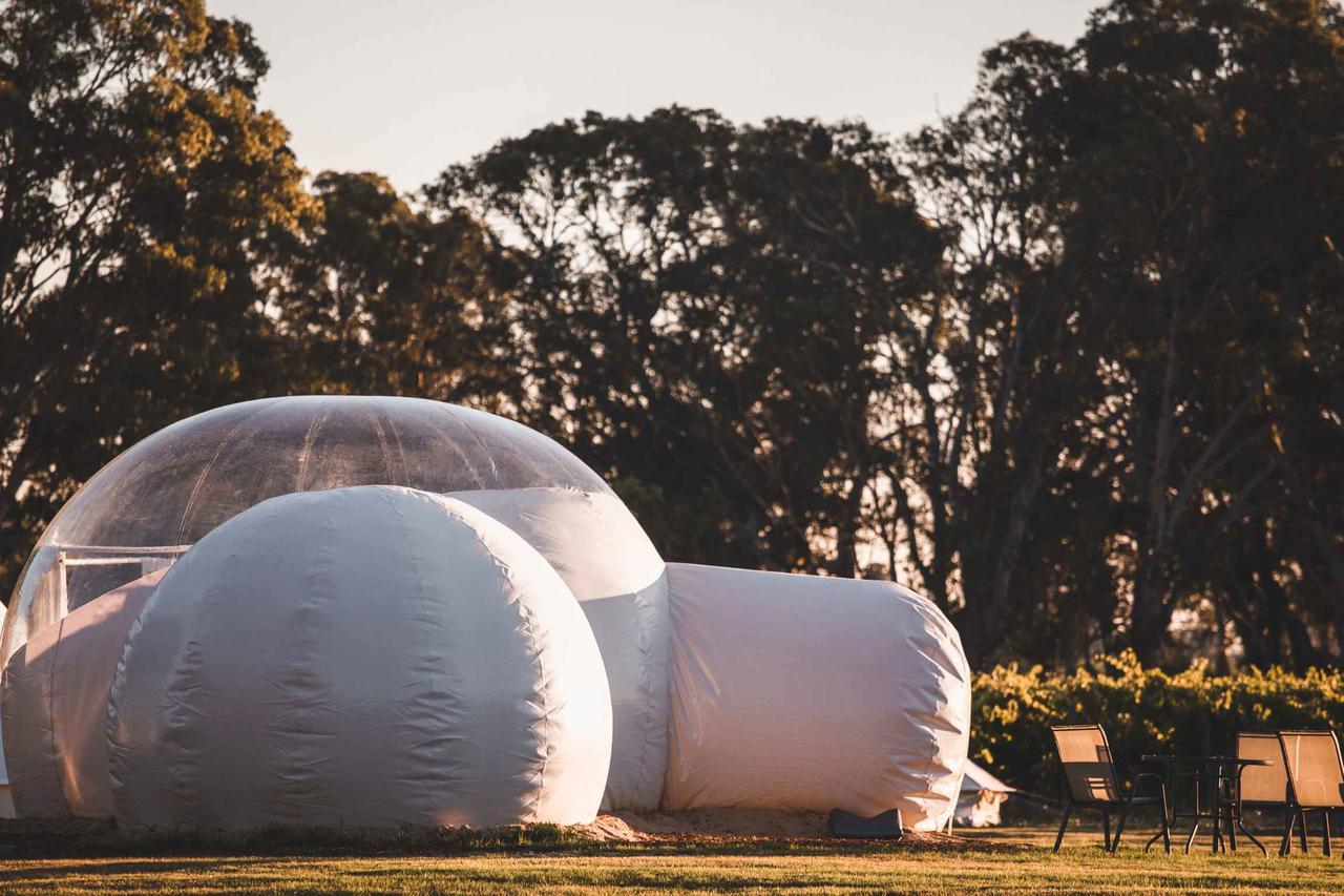 Coonawarra Bubble Tents - thumb 14
