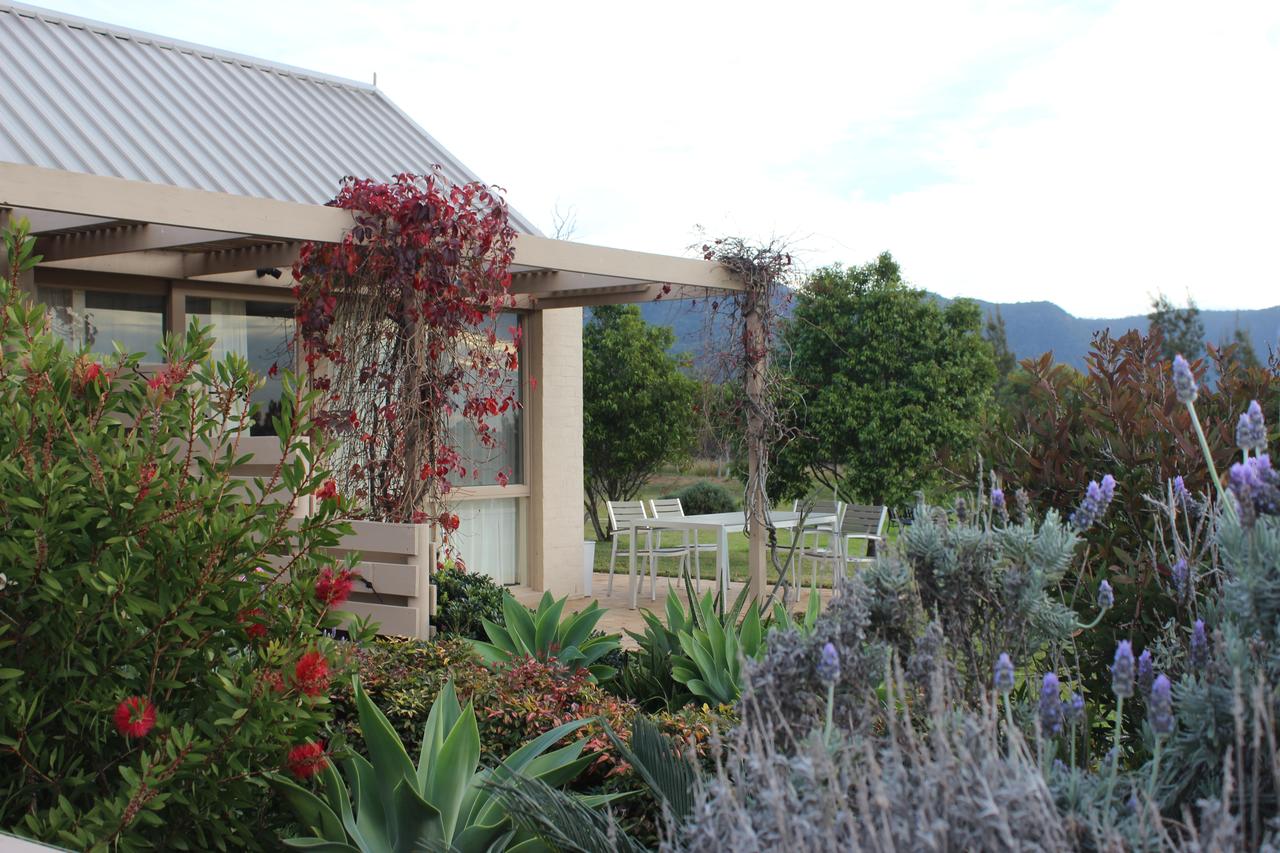 Grapevines Boutique Accommodation - thumb 28
