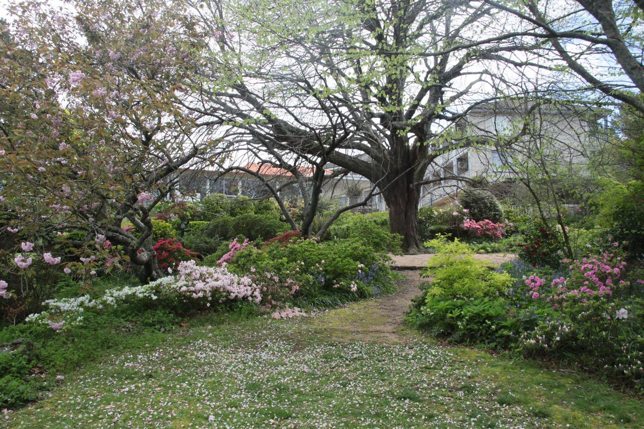 Nesuto Leura Gardens Formerly Waldorf Leura Gardens Resort - Accommodation Find 4