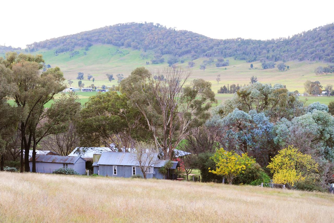 Stay In Mudgee - thumb 38