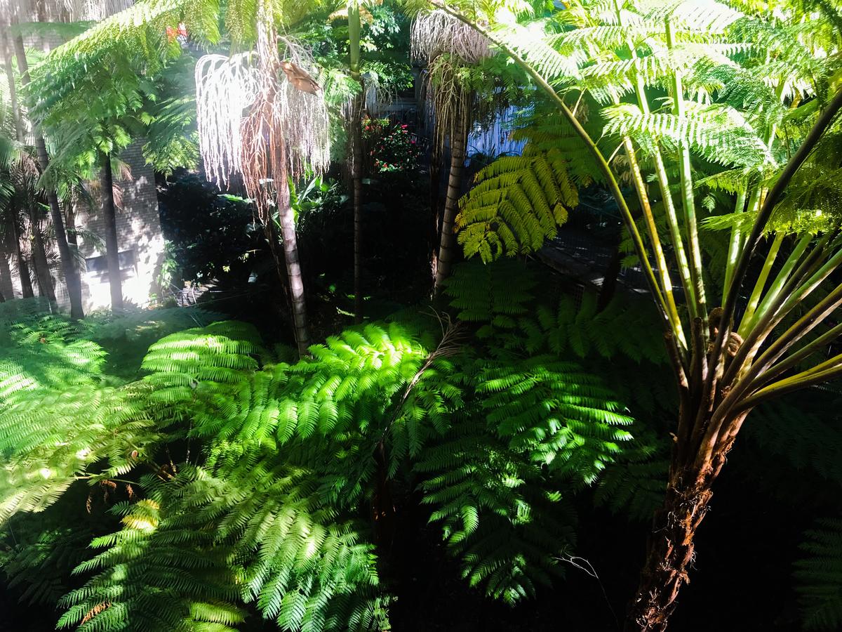 Woollahra Gem, Spectacular Views And Garden Paradise - Redcliffe Tourism 34