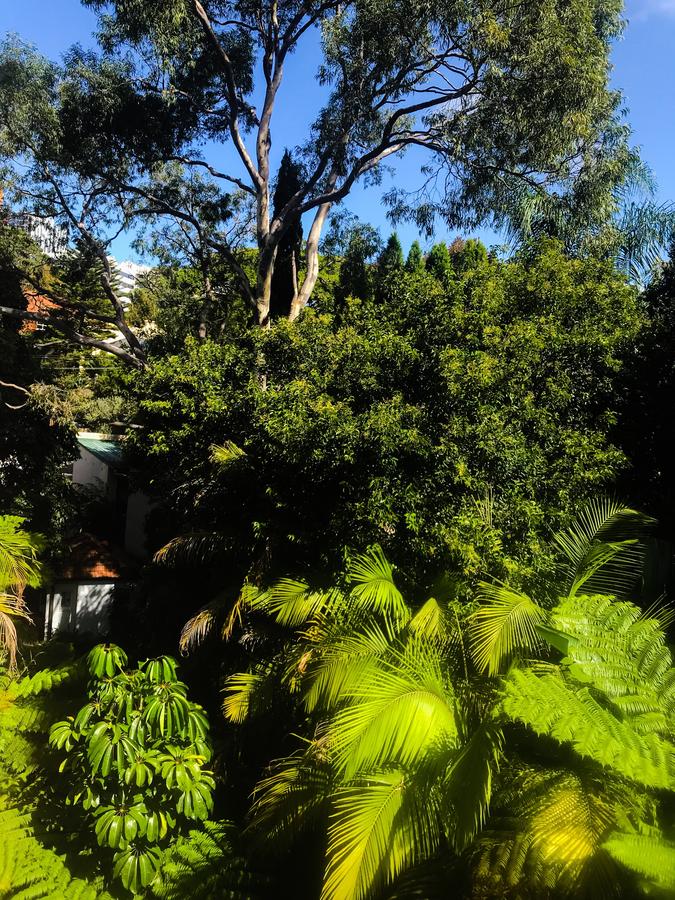 Woollahra Gem, Spectacular Views And Garden Paradise - Redcliffe Tourism 31