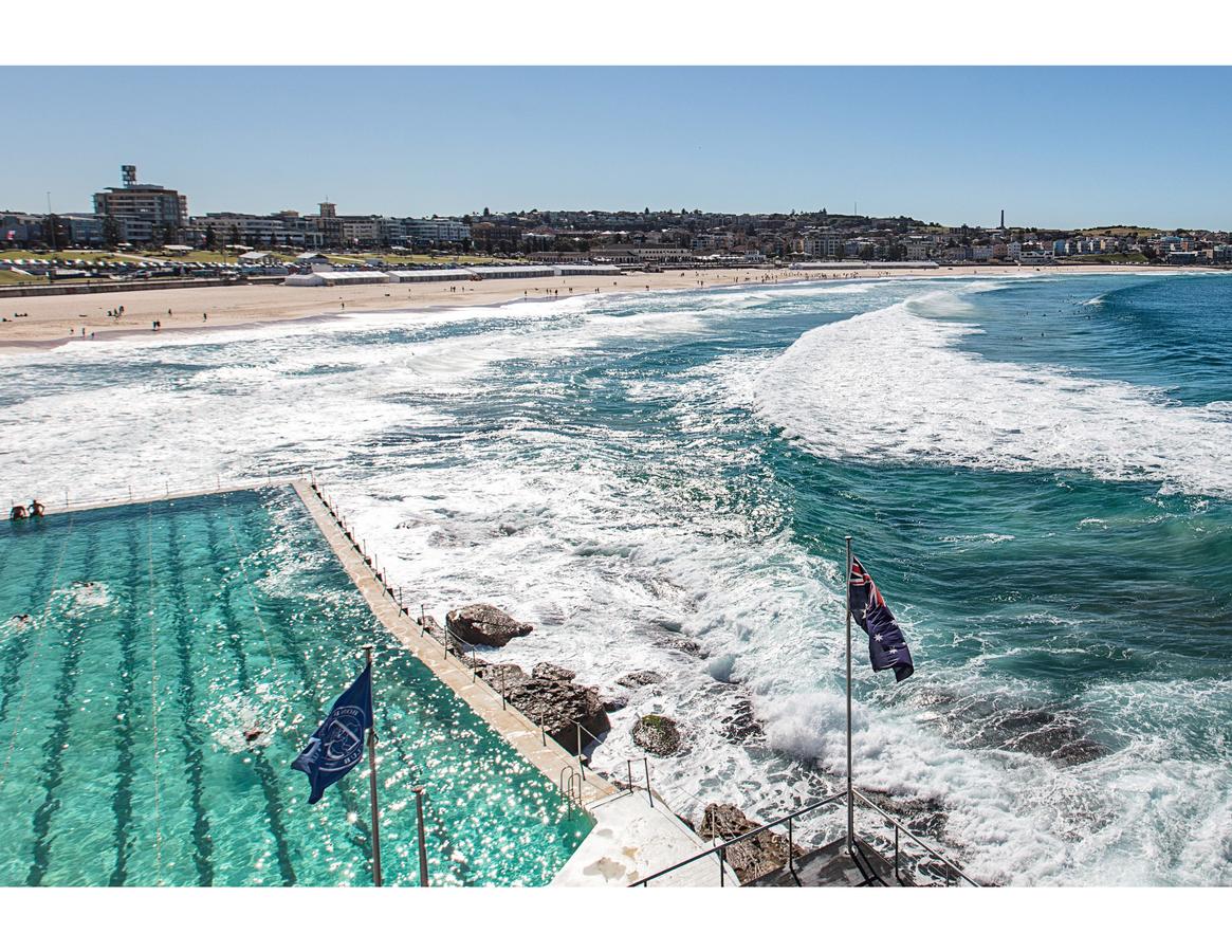 Large, Stylish And Quiet Penthouse Steps From Surf - Accommodation Find 24