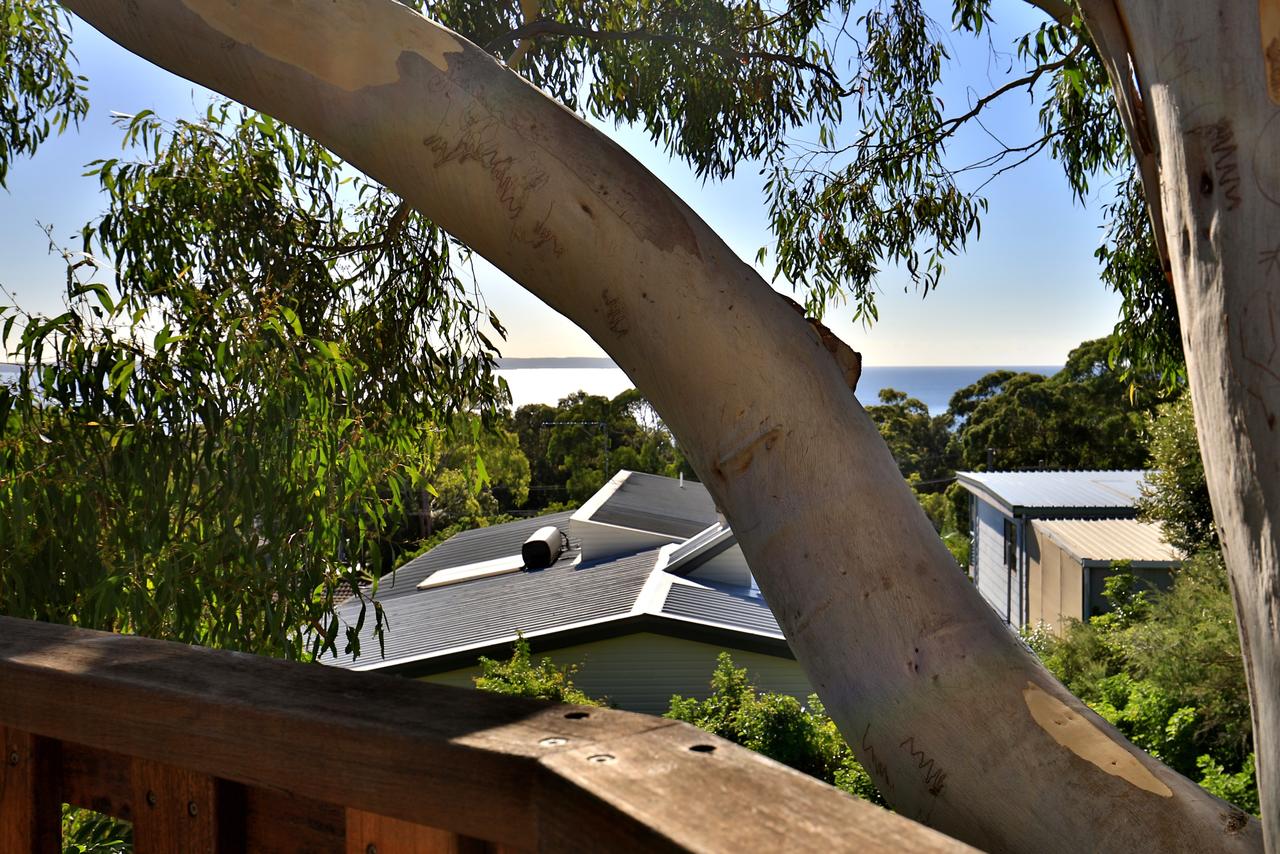 Seaglass - Stunning Views Of Jervis Bay - Accommodation Find 25