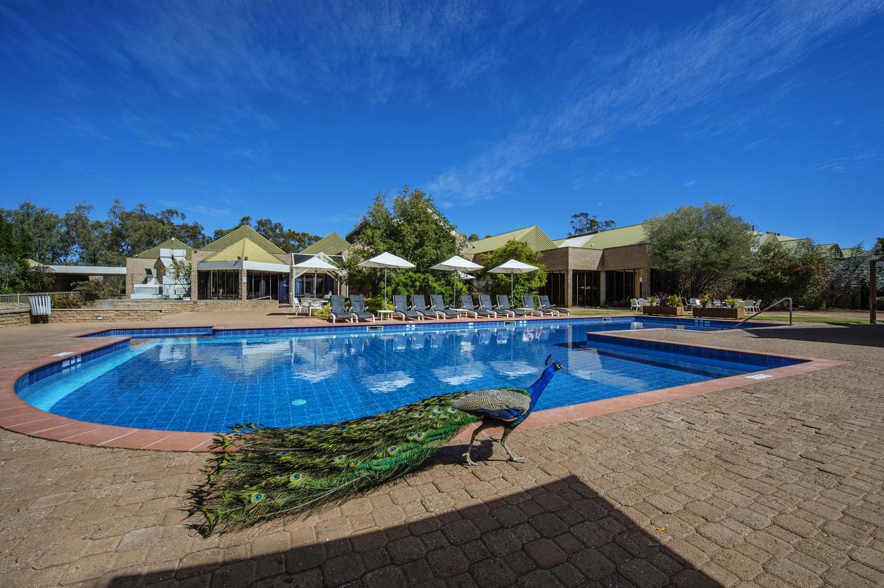 DoubleTree By Hilton Alice Springs - Accommodation Find 7