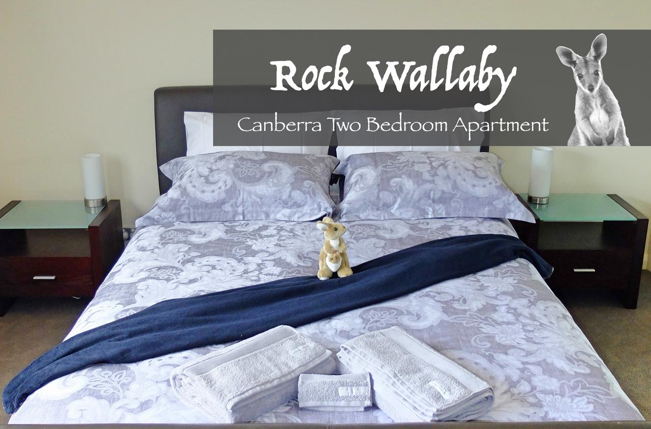 Rock Wallaby - Accommodation Find 4
