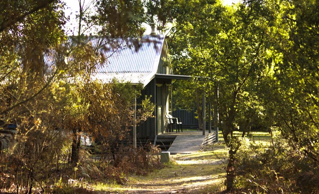 Brodribb River Rainforest Cabins - Cabin 1 - thumb 2