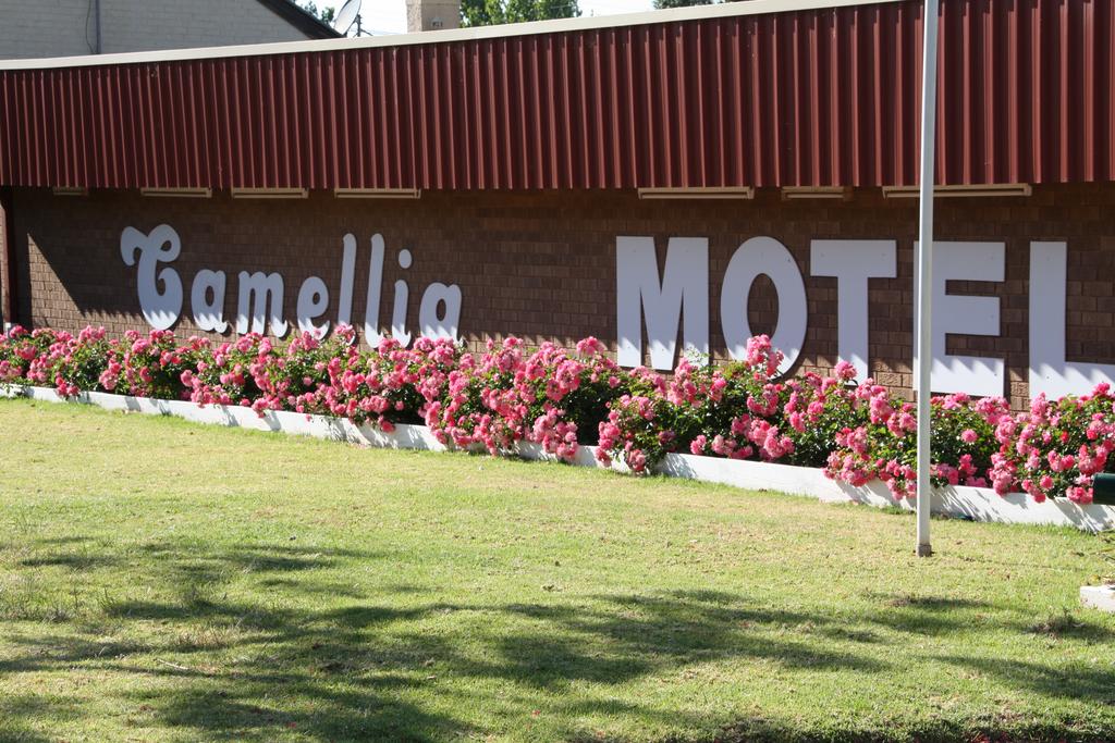 Camellia Motel - thumb 2