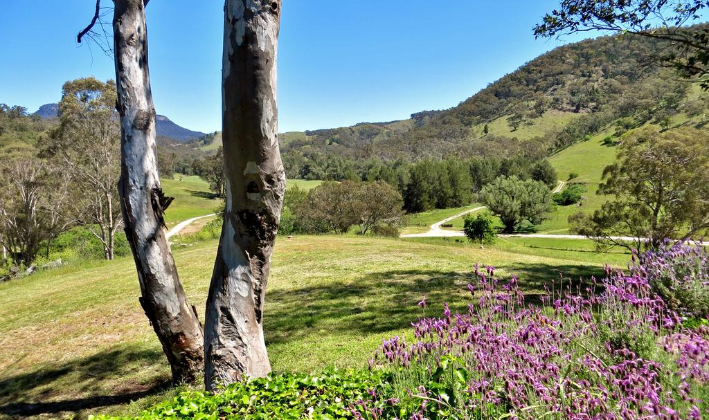Capertee National Park Cottages - Accommodation Adelaide