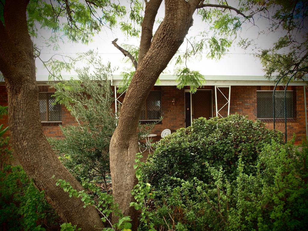 Capon Cottage - Accommodation Broken Hill