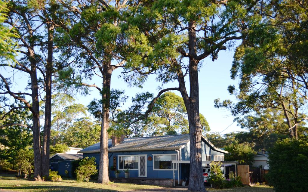 Casa Husky - New South Wales Tourism 