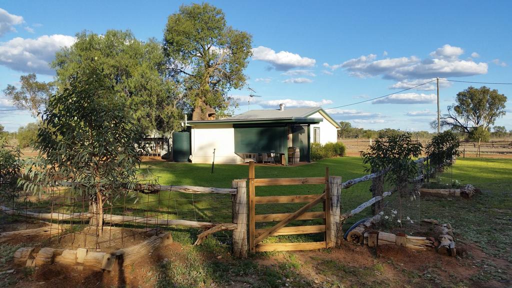 Charleville Bush Cottage - New South Wales Tourism 