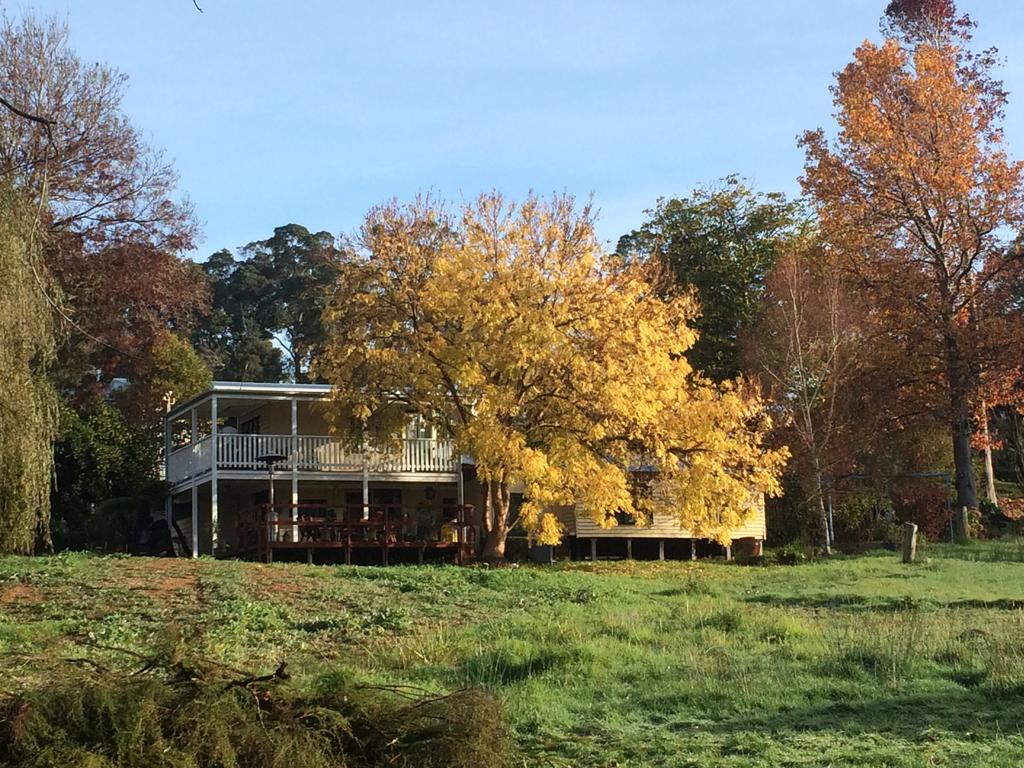 Chestnut Brae Farmstay - New South Wales Tourism 