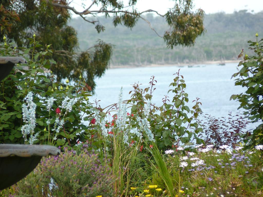 Clovelly Cottage - thumb 3