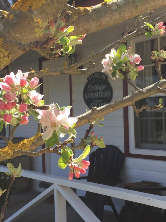 Coonawarra's Pyrus Cottage - thumb 3