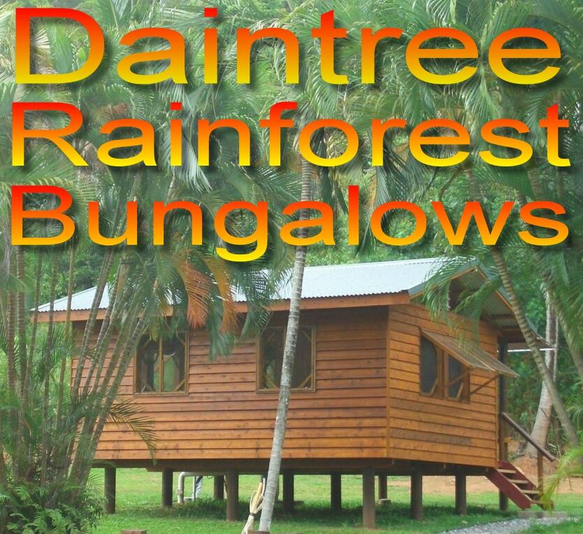 Daintree Rainforest Bungalows - Accommodation Daintree 0