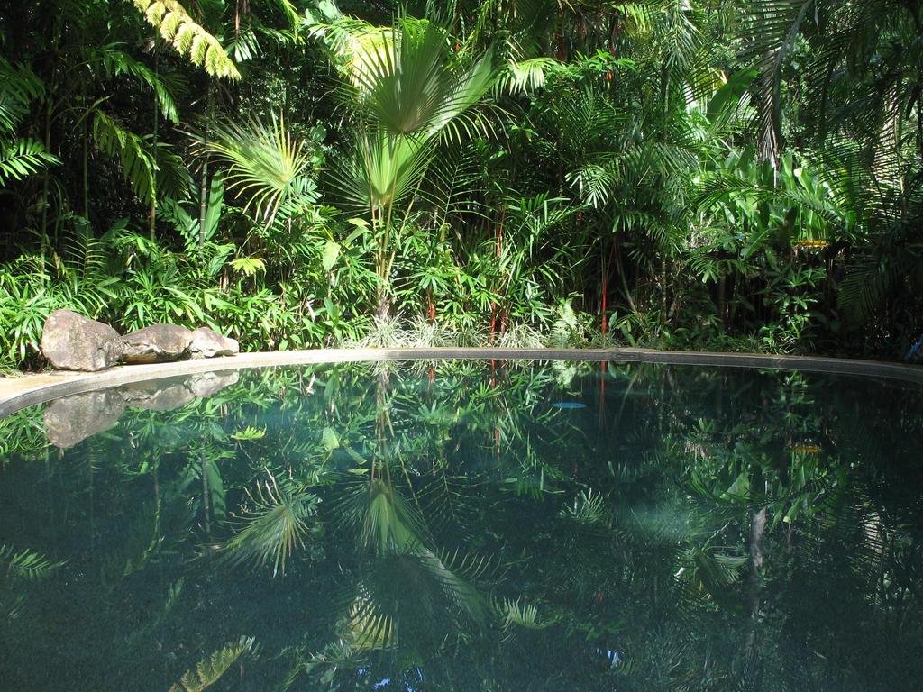 Daintree Rainforest Retreat Motel - QLD Tourism