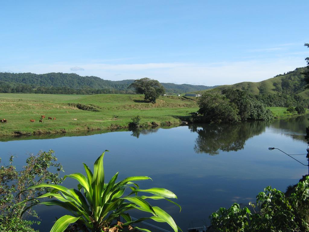 Daintree Riverview Lodges - Accommodation BNB