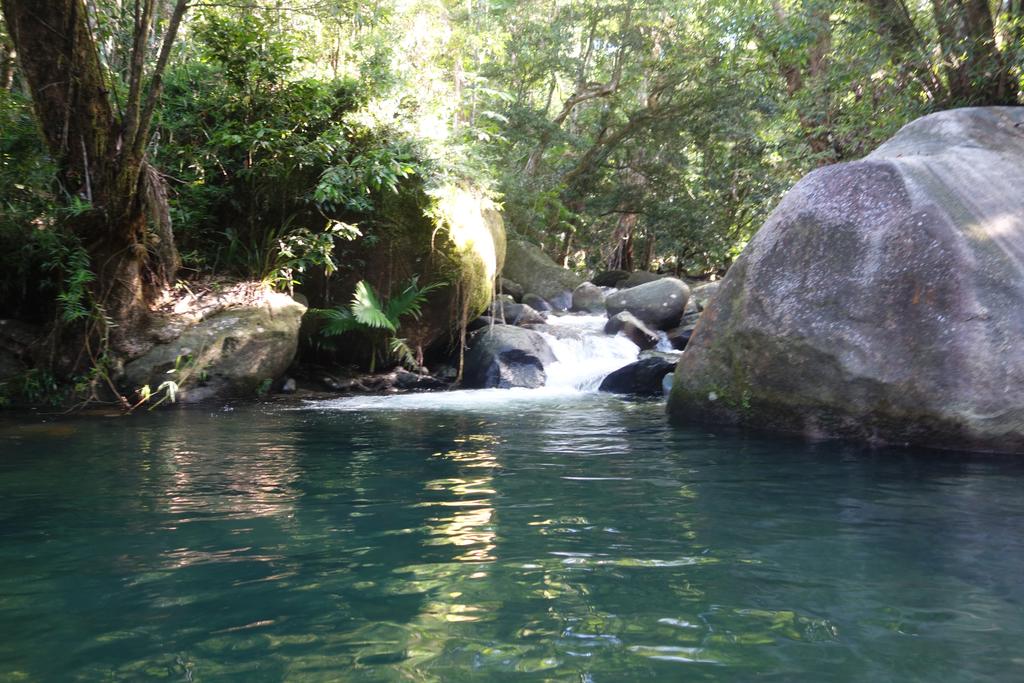 Daintree Secrets Rainforest Sanctuary