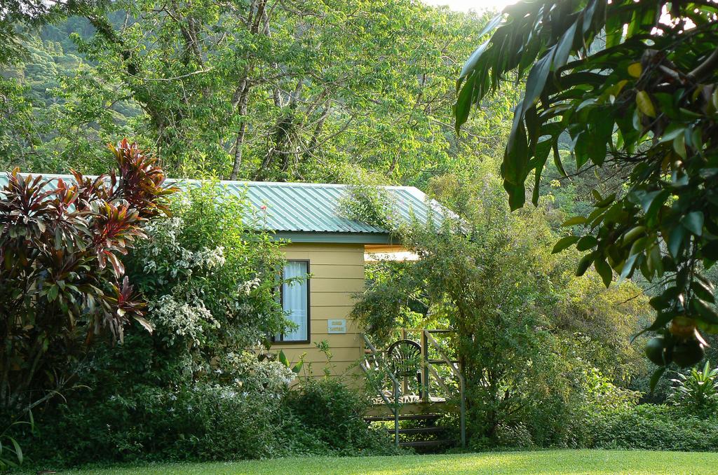 Daintree Valley Haven - Accommodation Adelaide