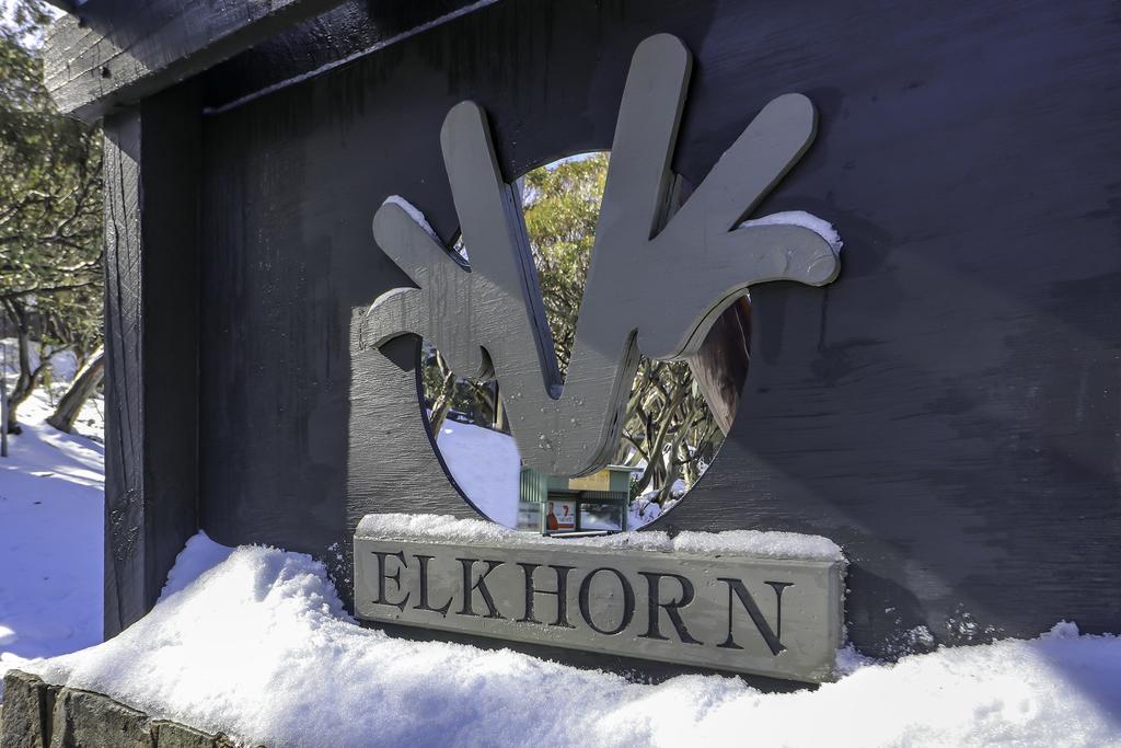 Elkhorn 11 - thumb 2