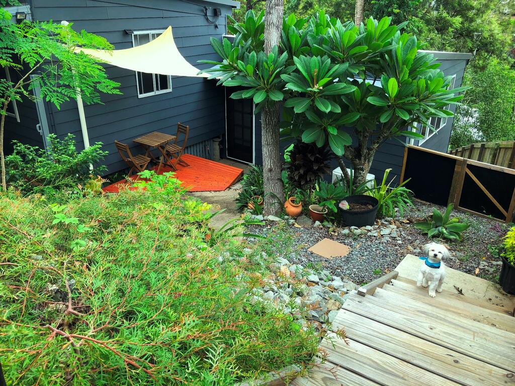 Eumundi Cottage In Town - thumb 2