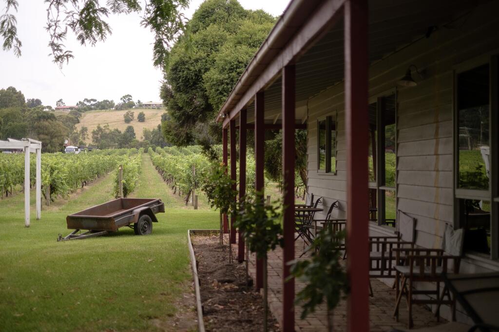 Fergusson Winery homestead accomodation