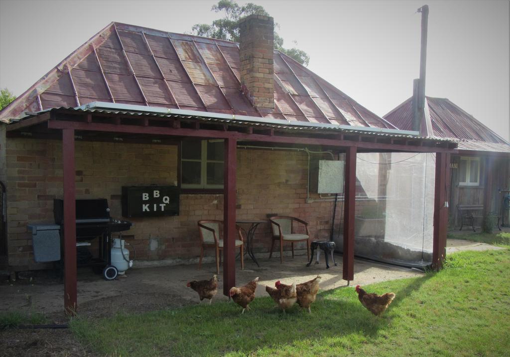 Fernbrook Cottage - New South Wales Tourism 