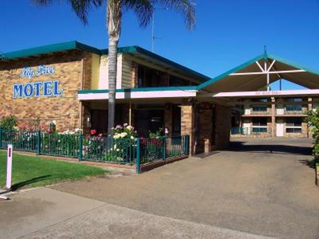 Fig Tree Motel - Accommodation Airlie Beach