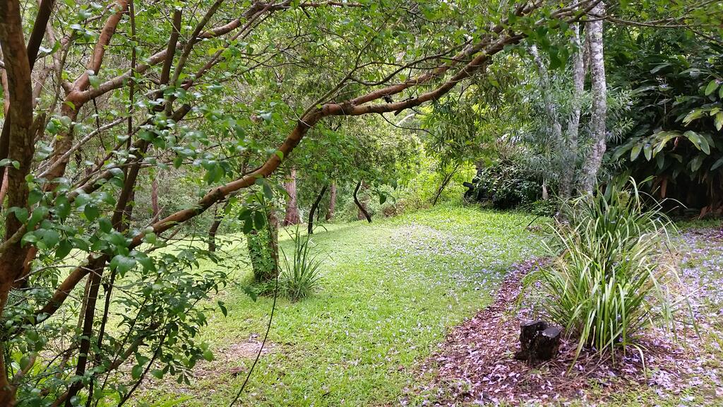 Forest View Bungalow - Nambucca Heads Accommodation 1