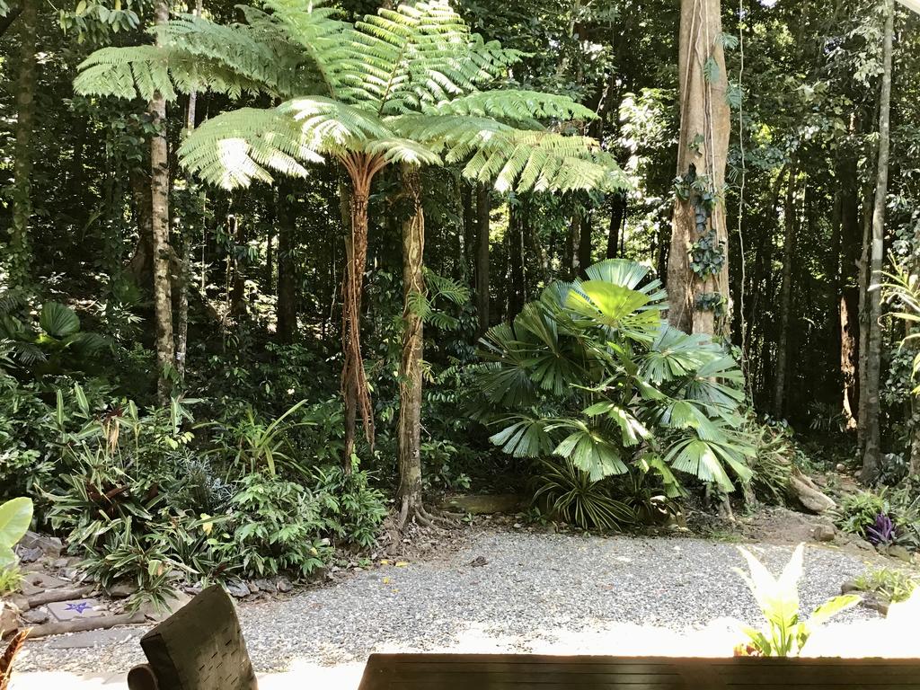Forest Views Daintree - New South Wales Tourism 