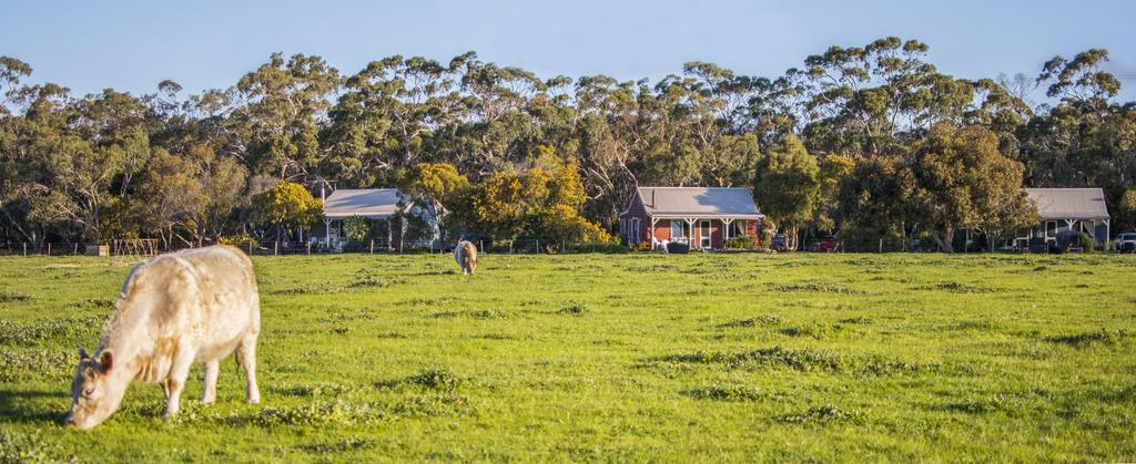 Freshwater Creek Cottages  Farm Stay - Melbourne Tourism