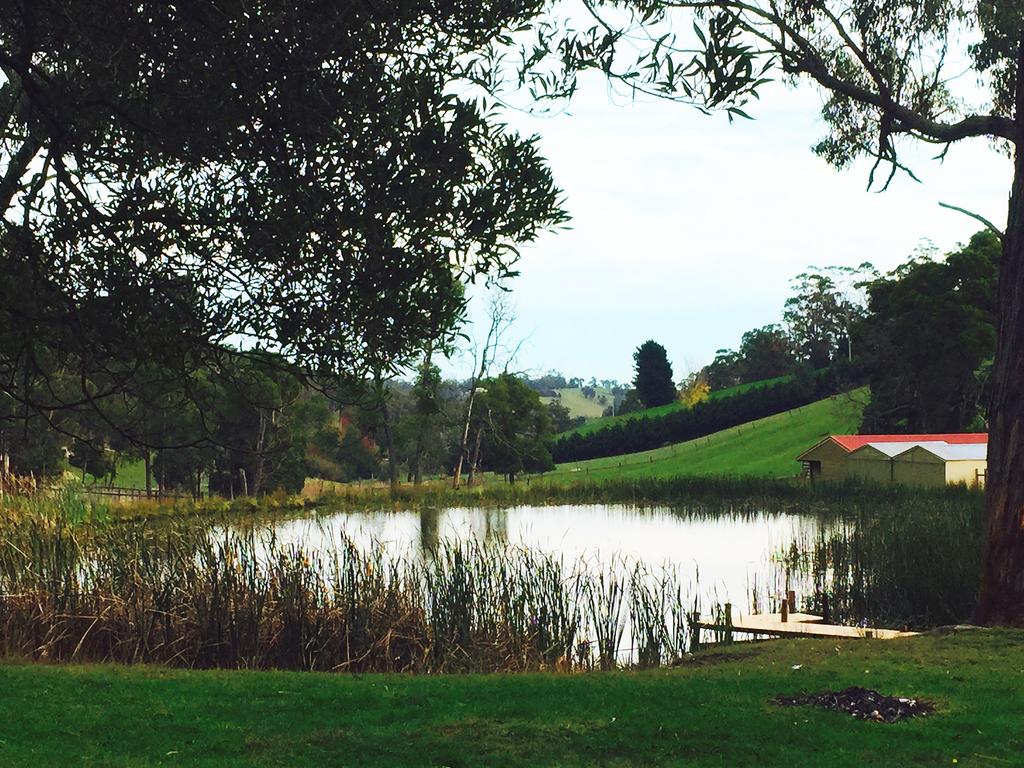 Gracefield Estate - New South Wales Tourism 